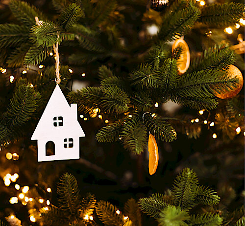 Das Umweltamt informiert – Christbäume richtig entsorgen